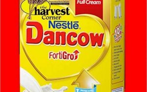 Manfaat Susu Dancow Untuk Dewasa
